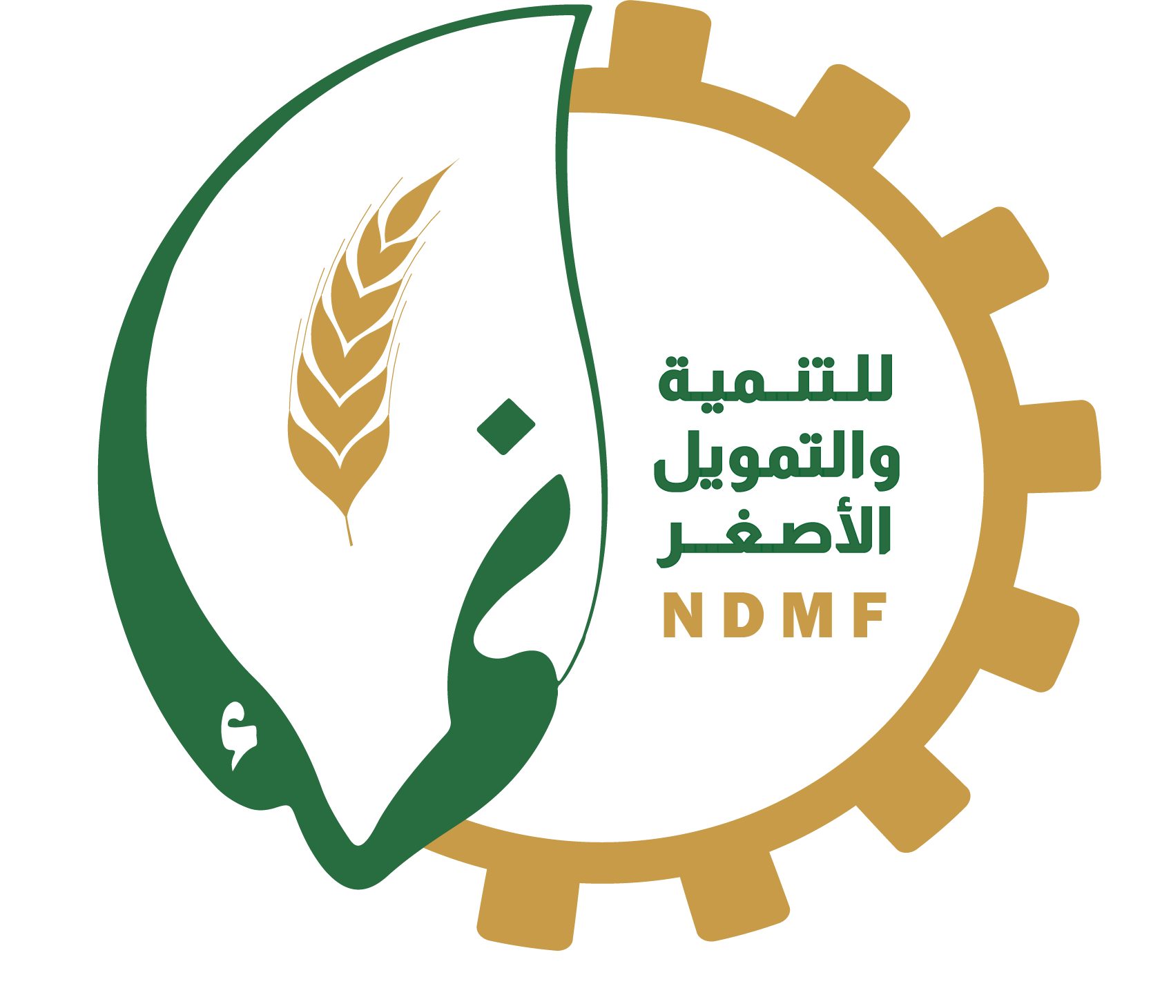 مؤسسة نماء للتنمية والتمويل الأصغر